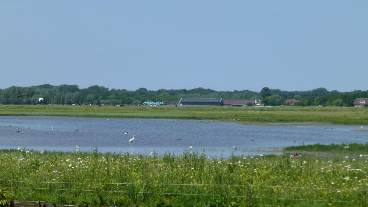 Vitamin Sea Heemskerk Exterior photo